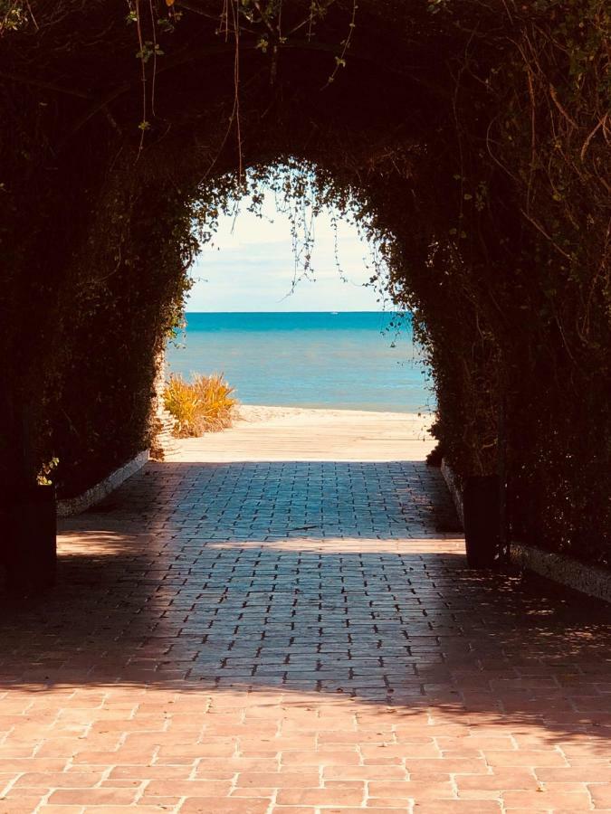 Las Terrazas - Primera Linea De Playa Con Netflix, Disney, Movistar Con Todo El Futbol, Series, Cine Y Prime Video Oropesa del Mar Εξωτερικό φωτογραφία